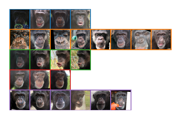 Image of Practical 5: Clustering Chimpanzees